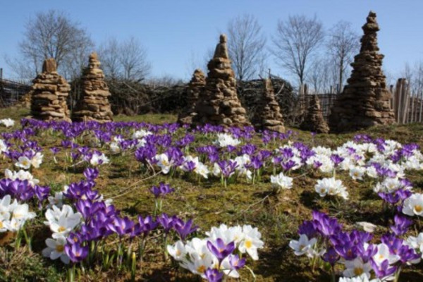 Hortus Insectorum